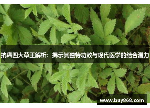 抗癌四大草王解析：揭示其独特功效与现代医学的结合潜力