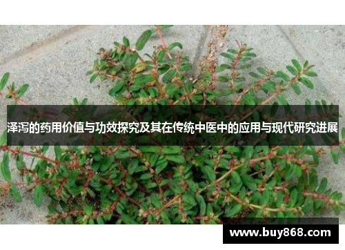 泽泻的药用价值与功效探究及其在传统中医中的应用与现代研究进展